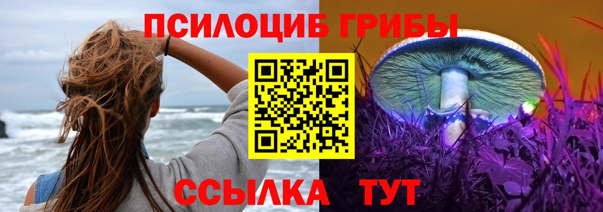 Псилоцибиновые грибы GOLDEN TEACHER Людиново